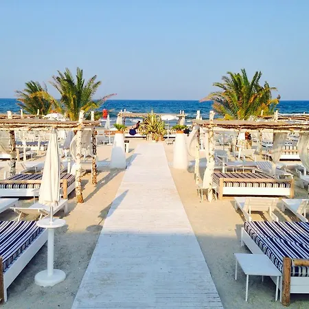 Orchid Lounge Studio Apartment Mamaia